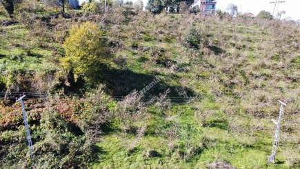 Trabzon 1.Nolu Bostancıda Sosyal İmarlı Arsa Takaslı 4