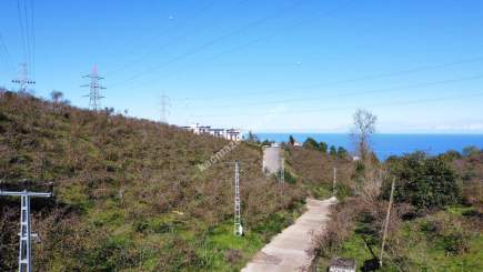 Trabzon 1.Nolu Bostancıda Sosyal İmarlı Arsa Takaslı 2