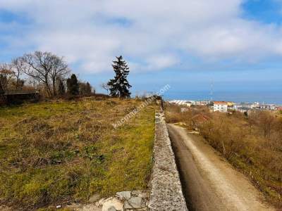 Trabzon 1.Nolu Bostancıda Satılık Arsa 6