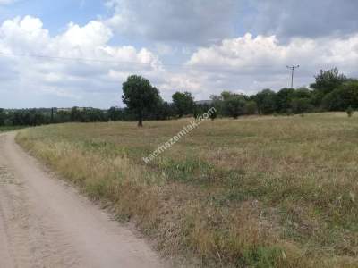 Çanakkale Ezine 3389 M2 Satılık Turistik Tesis Arsası 4