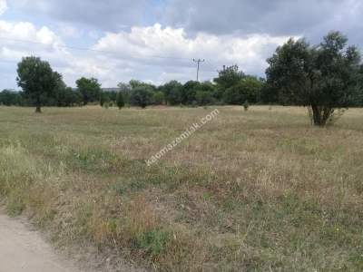 Çanakkale Ezine 3389 M2 Satılık Turistik Tesis Arsası 3