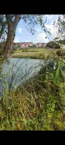 Sakarya Camili De Göl Manzaralı Satılık Arsa 3