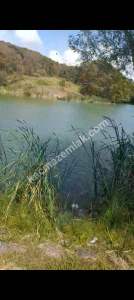 Sakarya Camili De Göl Manzaralı Satılık Arsa 5