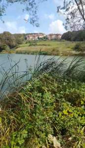 Sakarya Camili De Göl Manzaralı Satılık Arsa 1