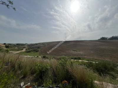 Adana Çukurova Şambayadı Mahallesinde Satılık Arsa 2