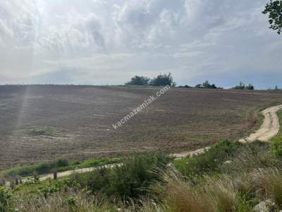 Adana Çukurova Şambayadı Mahallesinde Satılık Arsa 1