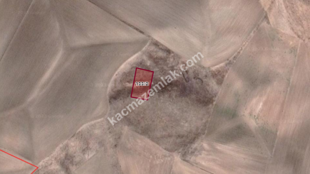 Ankara Polatlı Da Satılık 1000 M2 Tek Tapu İmarlı Arsa 3