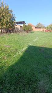 Aydın Işıklı Mah 550M² Villa İmarlı Arsa Satılık 5