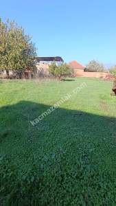 Aydın Işıklı Mah 550M² Villa İmarlı Arsa Satılık 2