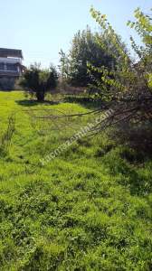 Aydın Işıklı Mah 550M² Villa İmarlı Arsa Satılık 11