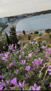 Çanakkale Gelibolu Adilhan Köyünde Satılık Villa Arsası 8