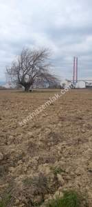 Gelibolu Sütlüce Deniz Ve Köprü Manzaralı İmarlı Arsa 4