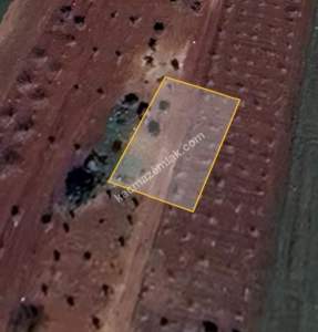 Oğuzeli Körkün De 372 M² A2 Villa Arsası 20