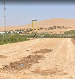 Oğuzeli Körkün De 372 M² A2 Villa Arsası 4