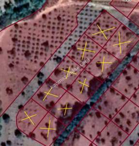 Şahinbey Narlıca Da Yan Yana 10 Adet A2 Villa Arsası 4