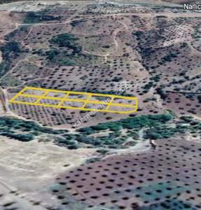 Şahinbey Narlıca Da Yan Yana 10 Adet A2 Villa Arsası 16