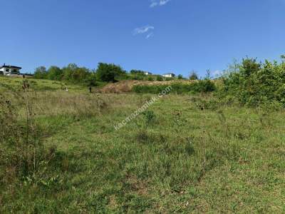 Kocaeli Başiskele'de İmarlı 1.240, M2 Satılık Arsa 12