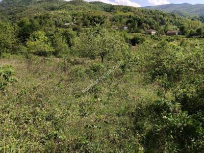 Kocaeli Başiskele'de İmarlı 1.240, M2 Satılık Arsa 6