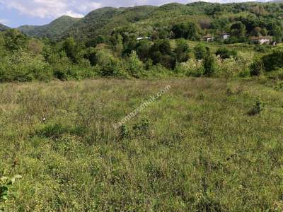 Kocaeli Başiskele'de İmarlı 1.240, M2 Satılık Arsa 14