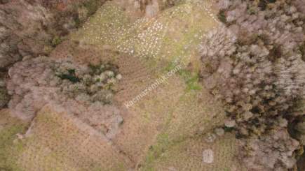 Kocaeli Kartepede Satılık Arsa 10