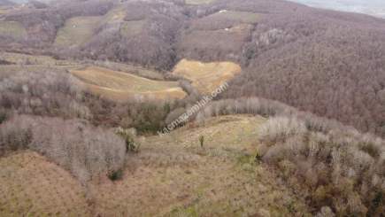 Kocaeli Kartepede Satılık Arsa 22