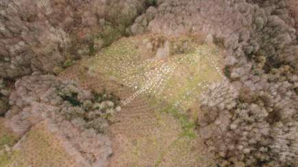 Kocaeli Kartepede Satılık Arsa 21