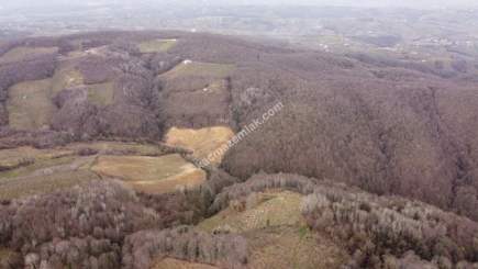 Kocaeli Kartepede Satılık Arsa 28