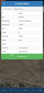 Fevzi Çakmak Mahallesi'nde Villa Arsası 1