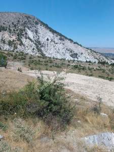 Kütahya Mrk.de Satlık Vilalık Arsa (Görmek Lazım) 2