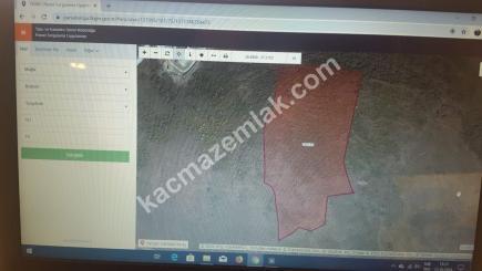 Muğla Bodrum Turgut Reis Te Marinanın Karşısında Deniz 3