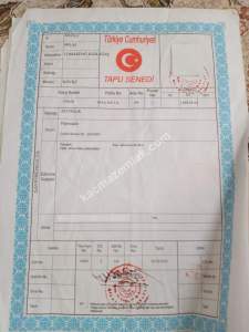 Muğla, Milas, Çomakdağ Kızılağaç'ta Villa Arsası 3