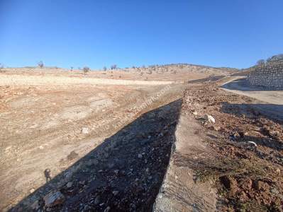 Siirt Tillo'da Satılık Çok Uygun Fiyatlı Villa Arsası 15