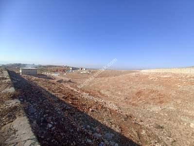 Siirt Tillo'da Satılık Çok Uygun Fiyatlı Villa Arsası 4