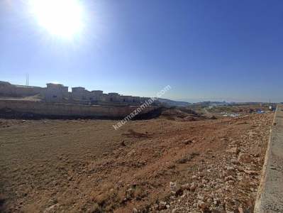 Siirt Tillo'da Satılık Çok Uygun Fiyatlı Villa Arsası 11