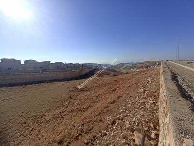 Siirt Tillo'da Satılık Çok Uygun Fiyatlı Villa Arsası 12