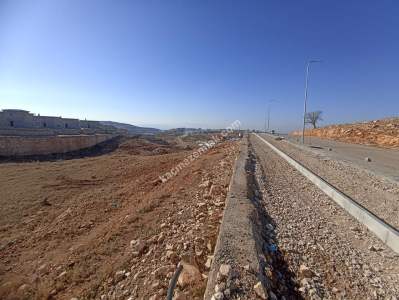 Siirt Tillo'da Satılık Çok Uygun Fiyatlı Villa Arsası 14