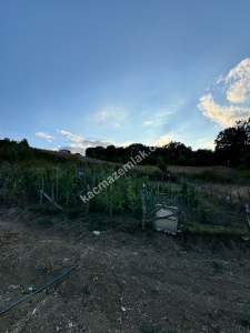 Gerze Belören Köyü Satılık Villa İmarlı Arsa 4