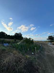 Gerze Belören Köyü Satılık Villa İmarlı Arsa 1