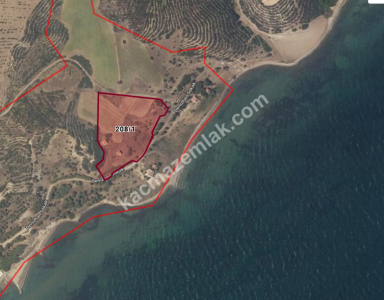 Şarköy Kızılcaterzi Kontur Sit Deniz Manzaralı Arsa 10