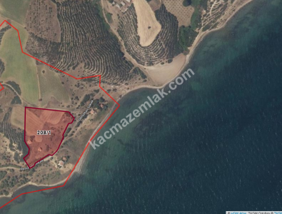 Şarköy Kızılcaterzi Kontur Sit Deniz Manzaralı Arsa 12