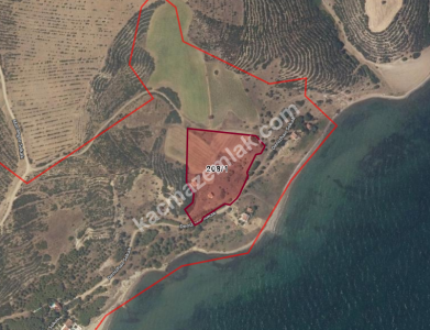 Şarköy Kızılcaterzi Kontur Sit Deniz Manzaralı Arsa 11