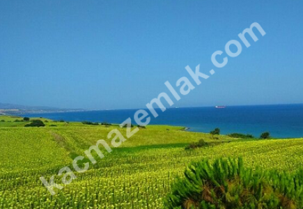 Şarköy Kızılcaterzi Kontur Sit Deniz Manzaralı Arsa 13