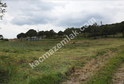 Şarköy Kızılcaterzi Kontur Sit Deniz Manzaralı Arsa 5