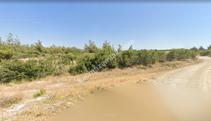 Şarköy Kızılcaterzi Kontur Sit Deniz Manzaralı Arsa 6