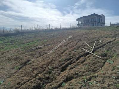 Tekirdağ Şarköy Kocaali Mahallesi Satılık Villa Arsası 2