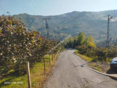 Kaçmaz Emlaktan Trabzon Akçaabat Derecik Mah.satılık Ar 18