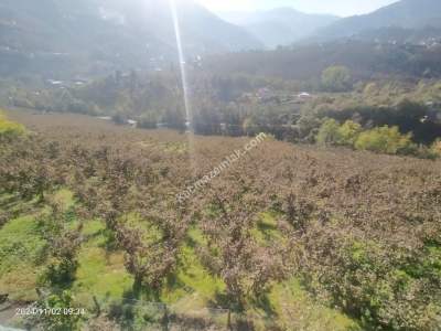 Kaçmaz Emlaktan Trabzon Akçaabat Derecik Mah.satılık Ar 7