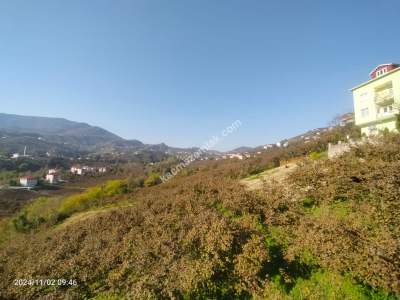 Kaçmaz Emlaktan Trabzon Akçaabat Derecik Mah.satılık Ar 10