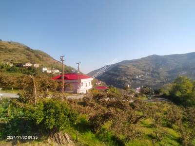 Kaçmaz Emlaktan Trabzon Akçaabat Derecik Mah.satılık Ar 8