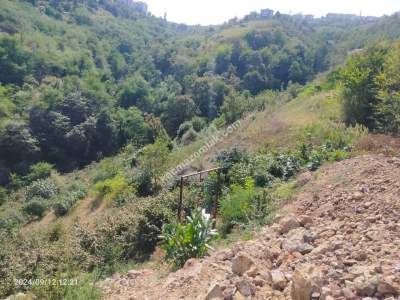 Kaçmaz Emlaktan Trabzon Akçaabat Söğütlü Mah. Satılık A 11